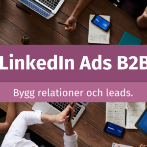 LinkedIn för B2B